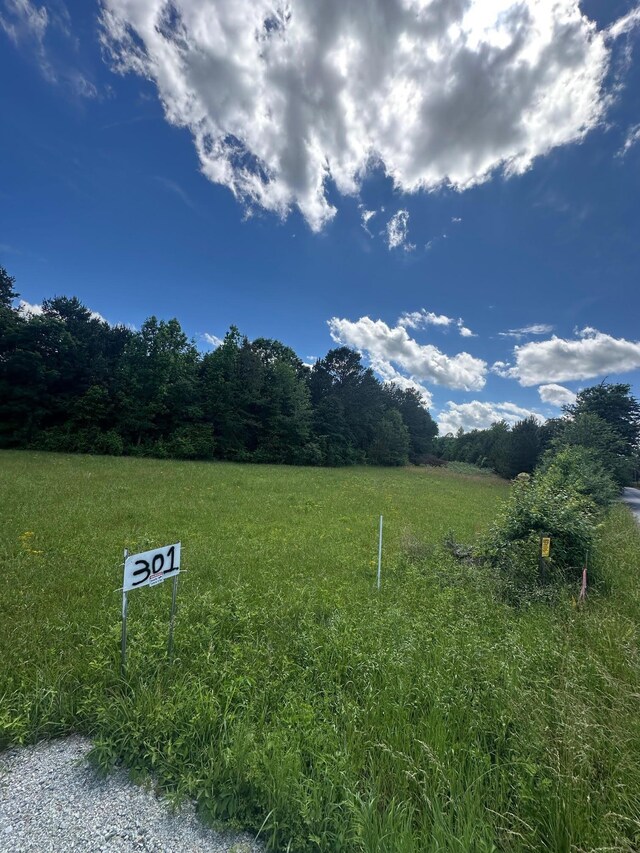 301 Sweet Gum Rd, Spartanburg, SC 29307 - photo 8