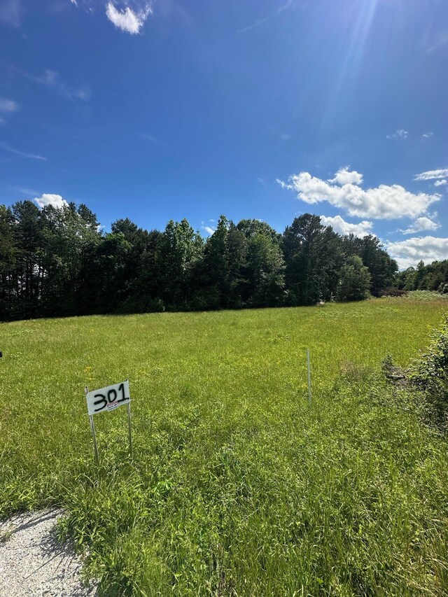 301 Sweet Gum Rd, Spartanburg, SC 29307 - photo 12