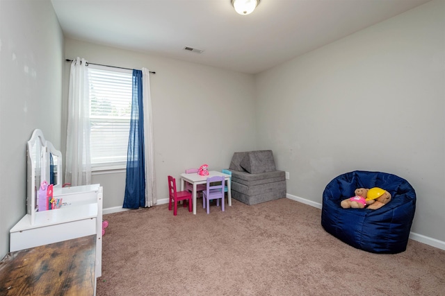 312 Morning Creek Dr, Easley, SC 29640 - photo 41