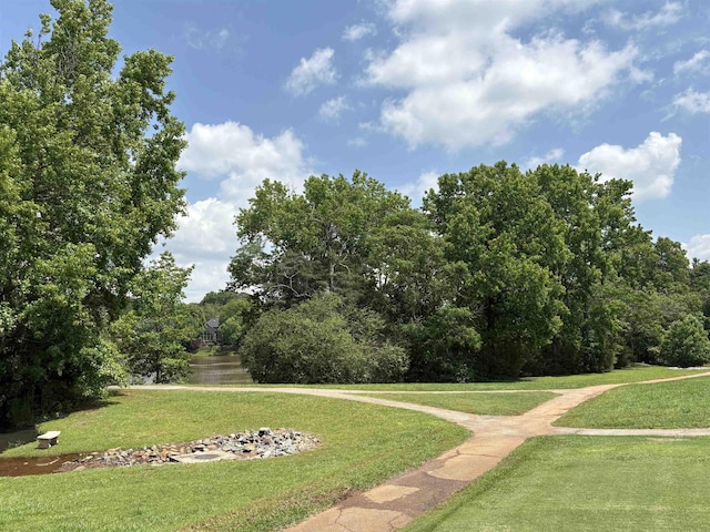 9 Sweetspire Ln, Simpsonville, SC 29681 - photo 38