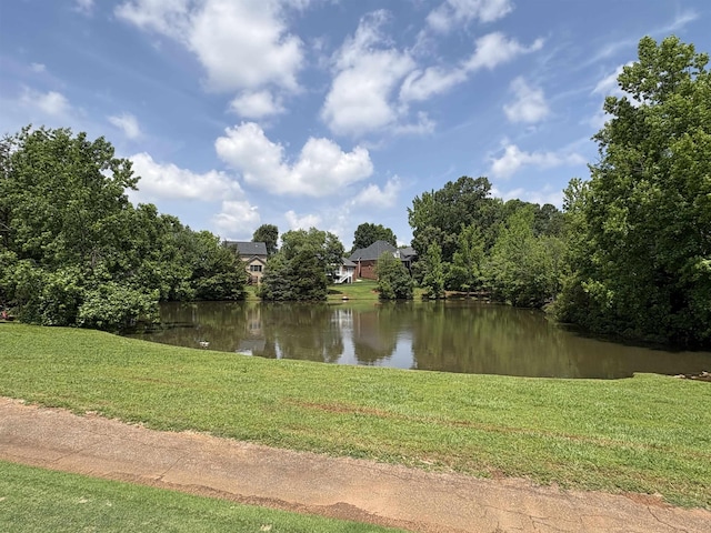 9 Sweetspire Ln, Simpsonville, SC 29681 - photo 39