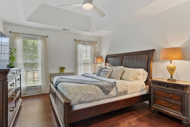413 Rambling Rose Way, Moore, SC 29369 - bedroom featuring multiple windows, dark wood-type flooring, a tray ceiling, and ceiling fan