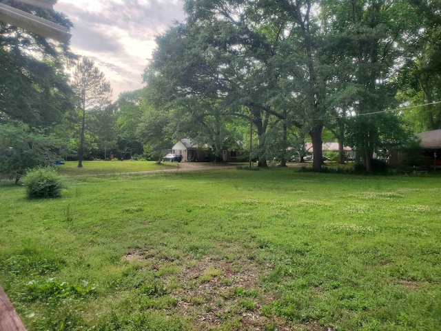 190 Beaverdam Church Rd, Enoree, SC 29335 - view of yard