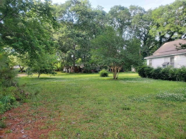 190 Beaverdam Church Rd, Enoree, SC 29335 - view of green lawn