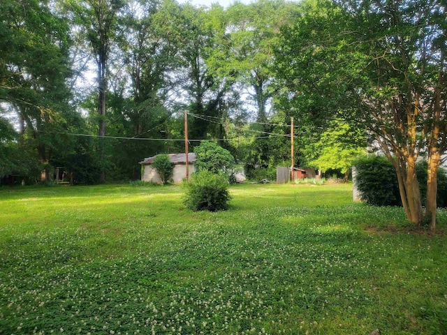 190 Beaverdam Church Rd, Enoree, SC 29335 - view of grassy yard