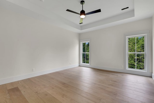 3963 Pennington Rd, Greer, SC 29651 - spare room with plenty of natural light, a raised ceiling, light wood finished floors, and ceiling fan