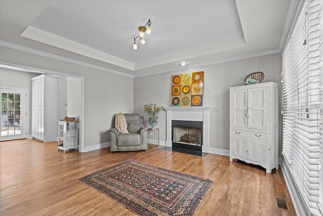 155 Lake Park Dr, Spartanburg, SC 29301 - sitting room with a tray ceiling, light wood-style floors, and a fireplace with flush hearth