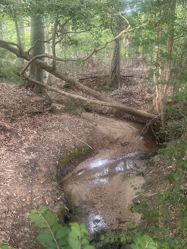 155 Lake Park Dr, Spartanburg, SC 29301 - view of local wilderness