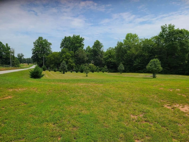 605 Dorman Rd, Inman, SC 29349 - photo 43