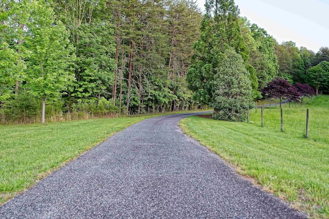 1250 Mountain Creek Rd, Rutherfordton, NC 28139 - photo 46