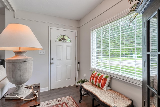 1762 New Cut Rd, Spartanburg, SC 29303 - entrance foyer featuring dark wood-type flooring and baseboards