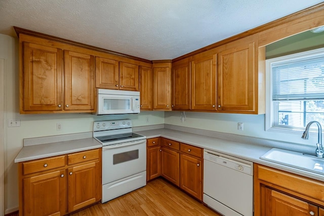 301 S Cassidy Way, Campobello, SC 29322 - photo 14