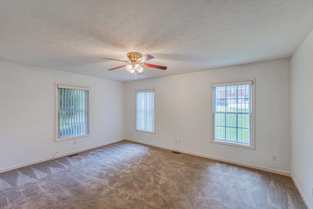301 S Cassidy Way, Campobello, SC 29322 - photo 20