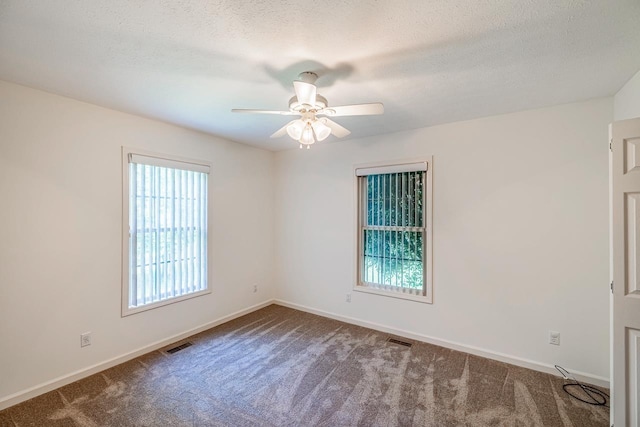 301 S Cassidy Way, Campobello, SC 29322 - photo 28