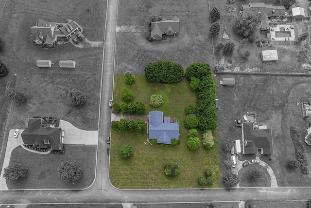 301 S Cassidy Way, Campobello, SC 29322 - photo 39