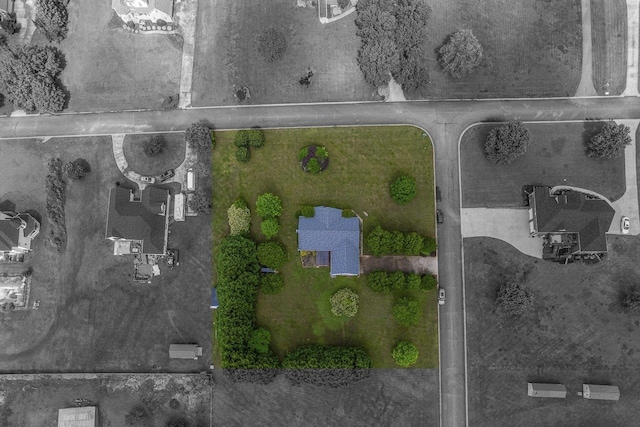 301 S Cassidy Way, Campobello, SC 29322 - photo 46