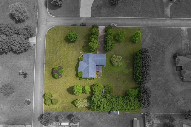 301 S Cassidy Way, Campobello, SC 29322 - photo 47