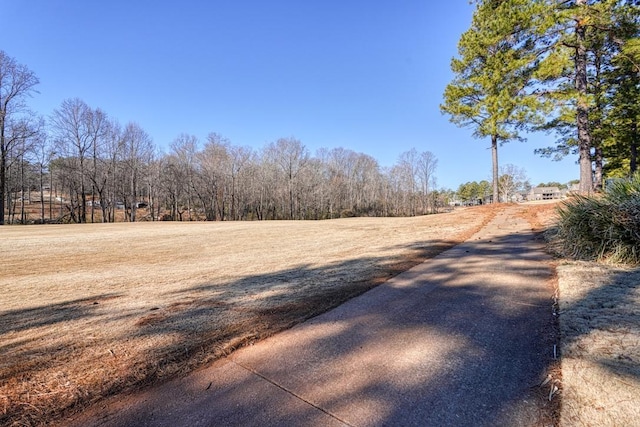 336 S Woodfin Ridge Dr, Inman, SC 29349 - photo 43