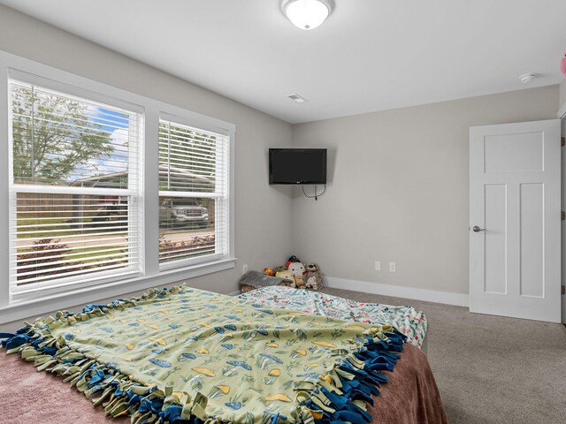 225 Aldrich Rd, Chesnee, SC 29323 - photo 25
