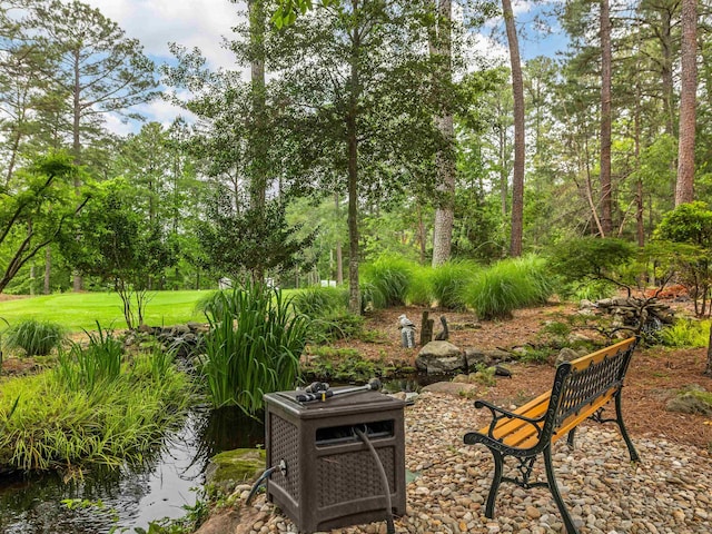 458 Carolina Club Dr, Spartanburg, SC 29306 - view of patio / terrace with view of scattered trees