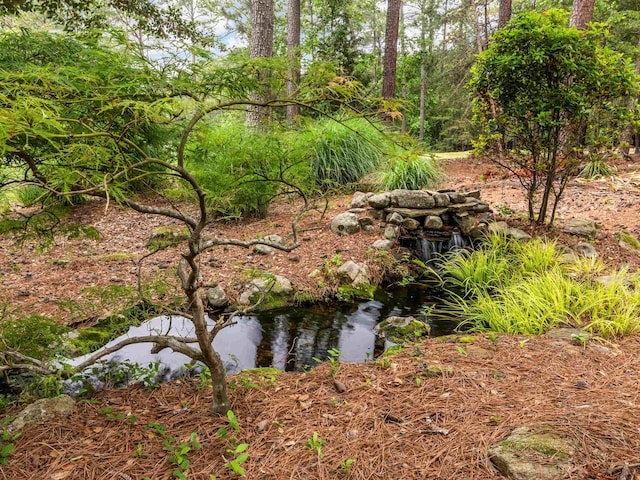 458 Carolina Club Dr, Spartanburg, SC 29306 - water view