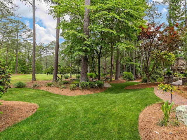 458 Carolina Club Dr, Spartanburg, SC 29306 - view of grassy yard