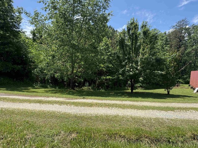 442 Gibbons Rd N, Sc, SC 29702 - photo 10