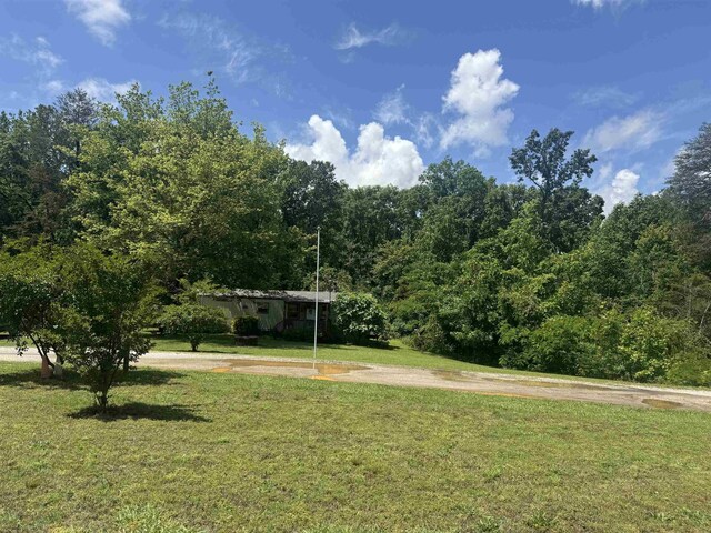 442 Gibbons Rd N, Sc, SC 29702 - photo 12