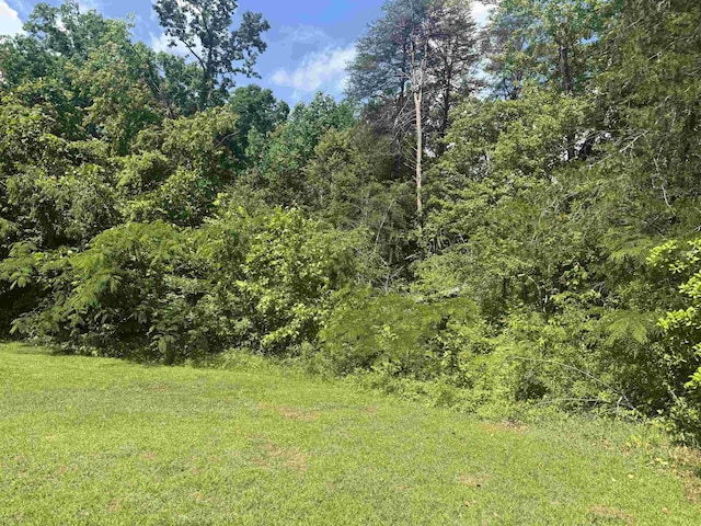 442 Gibbons Rd N, Sc, SC 29702 - photo 13