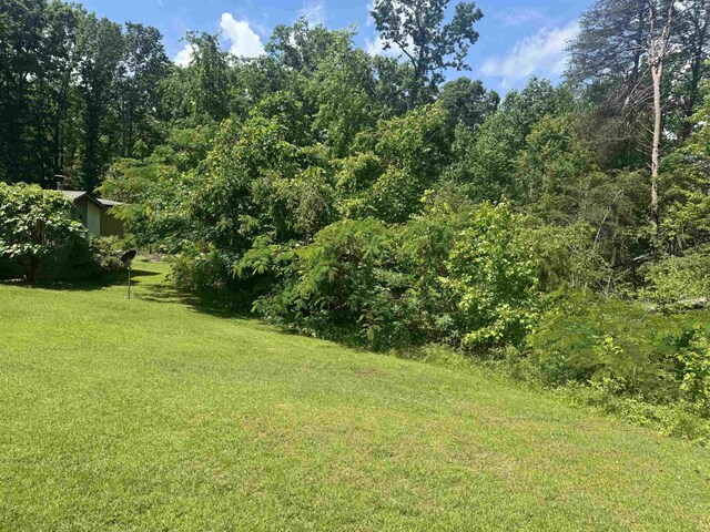 442 Gibbons Rd N, Sc, SC 29702 - photo 14