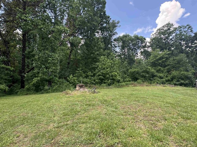 442 Gibbons Rd N, Sc, SC 29702 - photo 18