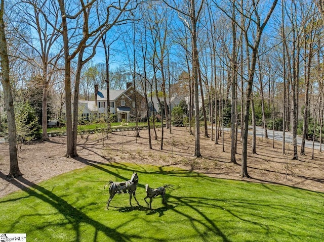 735 Jackson Grove Rd, Landrum, SC 29356 - view of community featuring a lawn