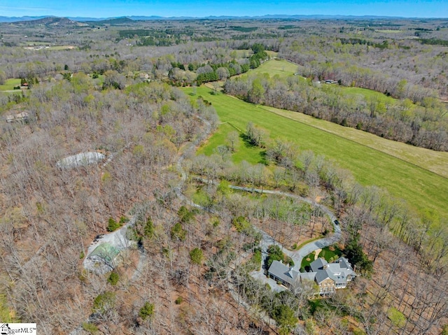 735 Jackson Grove Rd, Landrum, SC 29356 - view of property location with a forest and rural landscape