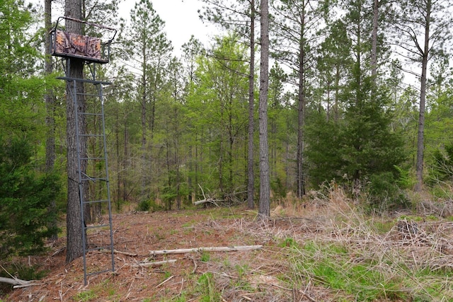 LOT2 Fields Rd, Pauline, SC 29374