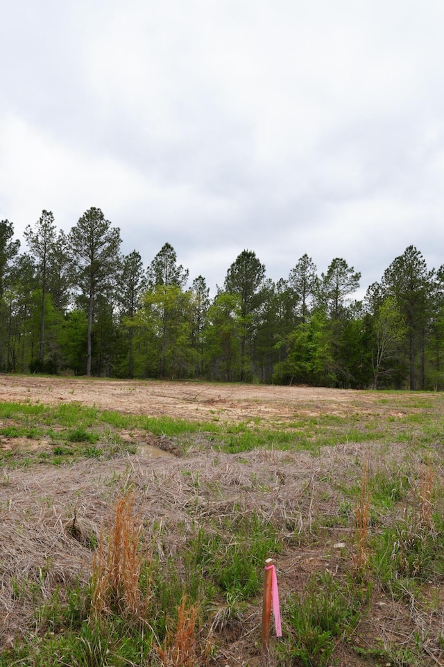 LOT2 Fields Rd, Pauline, SC 29374