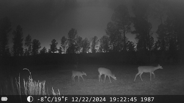 LOT2 Fields Rd, Pauline, SC 29374