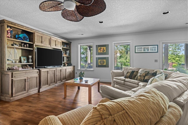135 Neal Pointe Dr, Chesnee, SC 29323 - living area featuring ornamental molding, ceiling fan, plenty of natural light, dark wood-type flooring, and a textured ceiling