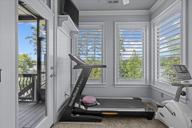 135 Neal Pointe Dr, Chesnee, SC 29323 - workout area featuring plenty of natural light and ornamental molding