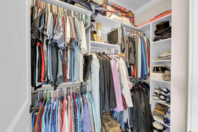 115 Gleneagles Rd, Campobello, SC 29322 - view of walk in closet