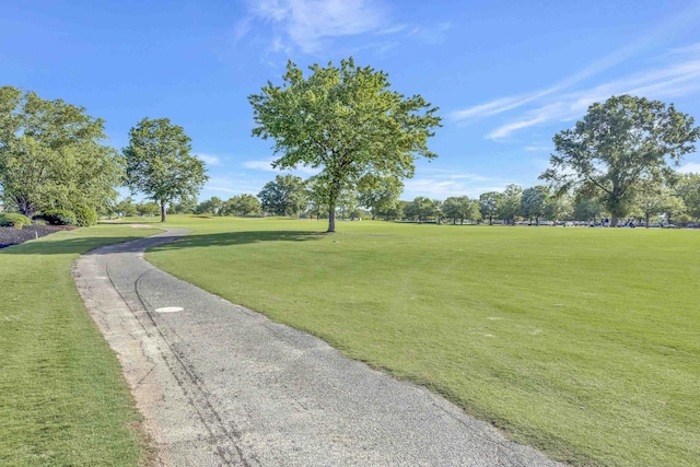 115 Gleneagles Rd, Campobello, SC 29322 - view of home's community featuring a lawn