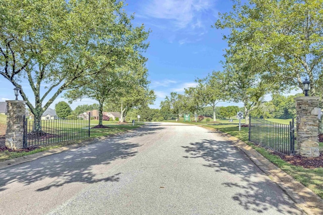 115 Gleneagles Rd, Campobello, SC 29322 - view of asphalt street with curbs and street lights