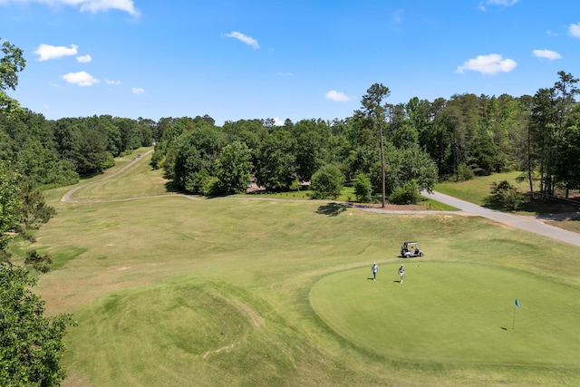 3135 E Croft Cir, Spartanburg, SC 29302 - view of community featuring golf course view and an area to practice putting