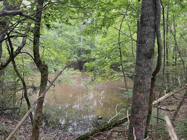 6050 Cross Anchor Rd, Enoree, SC 29335 - photo 41