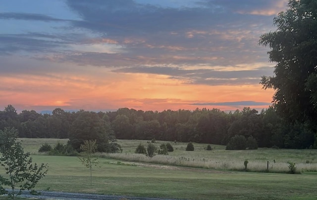 6050 Cross Anchor Rd, Enoree, SC 29335 - photo 49