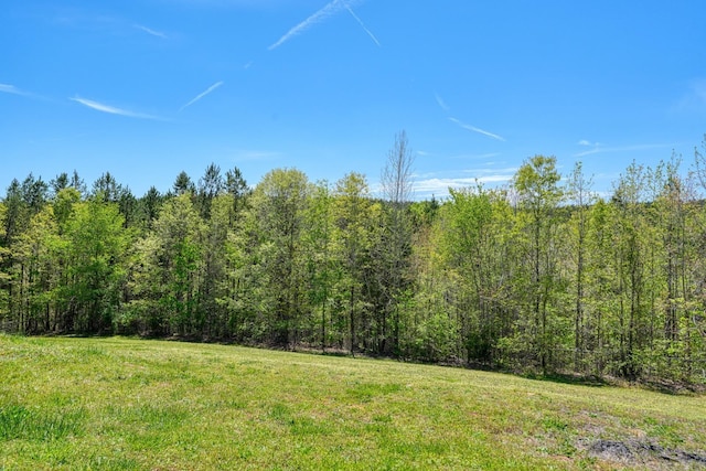 955 Baggett Rd, Enoree, SC 29335 - view of grassy yard featuring a forest view