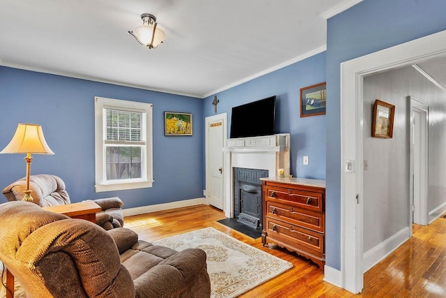 203 E S St, Union, SC 29379 - living area with crown molding, light wood-style floors, and a fireplace with flush hearth
