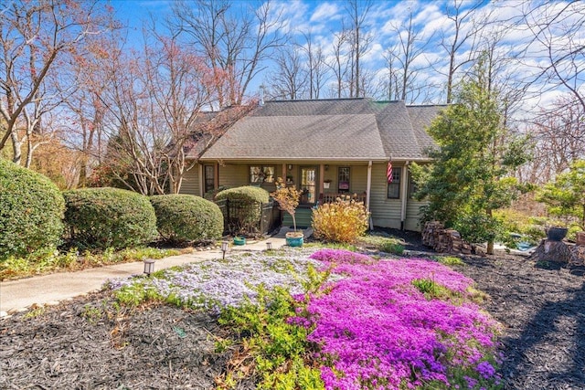 3 Rocky Gap Ct, Landrum, SC 29356 - photo 1