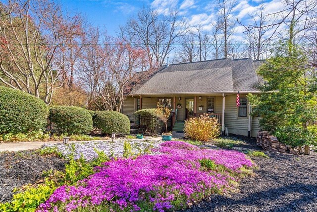 3 Rocky Gap Ct, Landrum, SC 29356 - photo 3