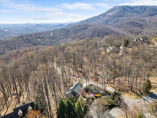 3 Rocky Gap Ct, Landrum, SC 29356 - photo 29