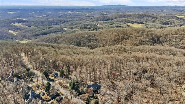 3 Rocky Gap Ct, Landrum, SC 29356 - photo 38